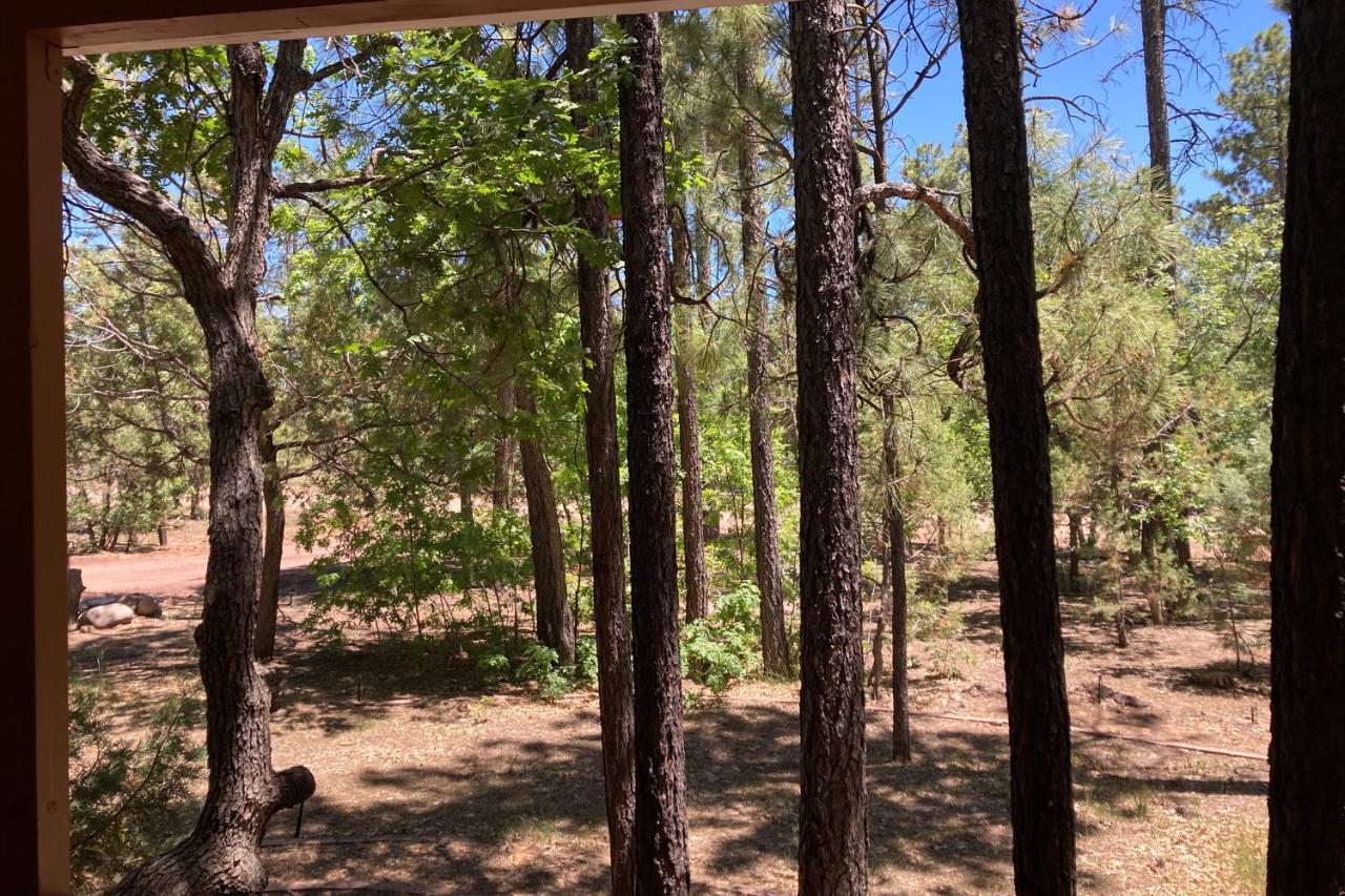 Tranquil Pines Retreat Villa Pinetop-Lakeside Ngoại thất bức ảnh